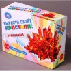 Растущий кристалл (рубиновый) в коробке. Арт. 28904 - Интернет-магазин детских товаров Зайка моя Екатеринбург