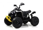 Электроквадроцикл RiverToys BRP Can-Am Renegade (Y333YY) - Интернет-магазин детских товаров Зайка моя Екатеринбург