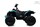 Электроквадроцикл RiverToys BRP Can-Am Renegade (Y333YY) - Интернет-магазин детских товаров Зайка моя Екатеринбург