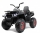 Электроквадроцикл RiverToys арт. H999HH - Интернет-магазин детских товаров Зайка моя Екатеринбург