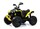 Электроквадроцикл RiverToys BRP Can-Am Renegade (Y333YY) - Интернет-магазин детских товаров Зайка моя Екатеринбург
